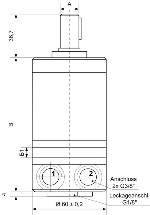 Oil motor MMS 32 C shaft Ø16 