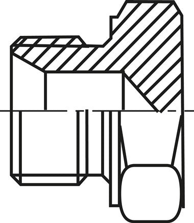 Raccord à vis pour tuyaux 35 L (M45x2), 1.4571