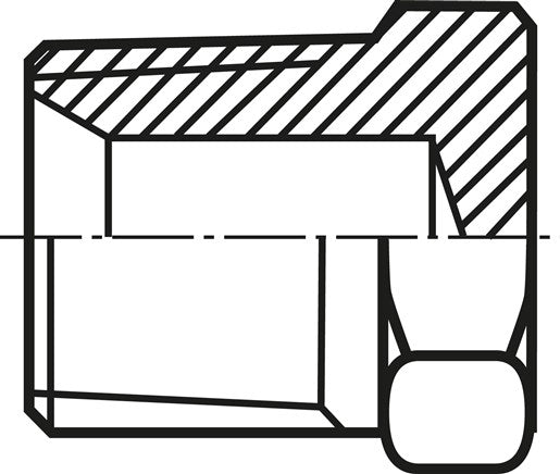 Bouchon d'étanchéité HD hexagonal externe. NPT 3/8", V4A
